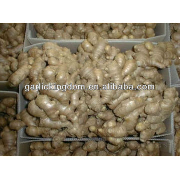 big ginger,air dried ginger from China